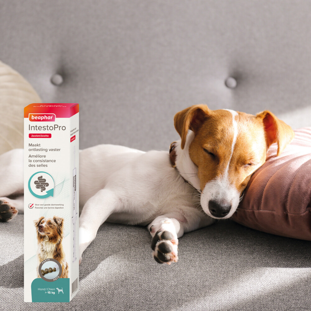 Beaphar IntestoPro Pasta Hond vanaf 15 kg20 ml