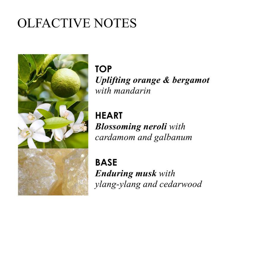 Molton Brown Orange & Bergamot Bath & Shower Gel 300ml