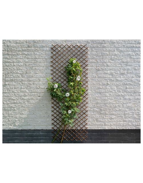 Nature Wilgen Klimrek - Klim-En Geleide Artikel - 60x180 cm