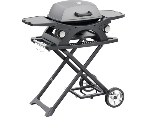 Gasgrillwagen voor 2 branders