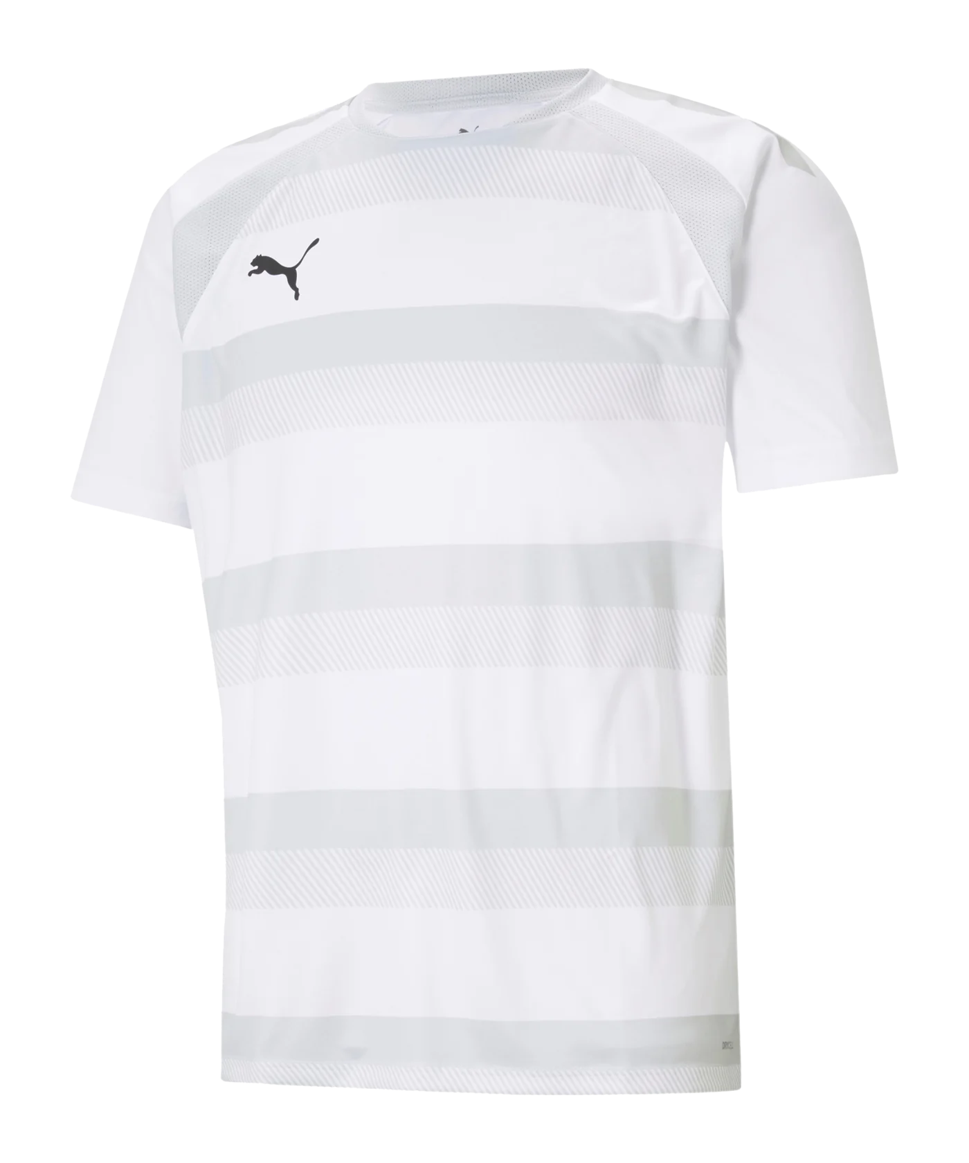 PUMA teamVISION Trikot Weiss Grau F04