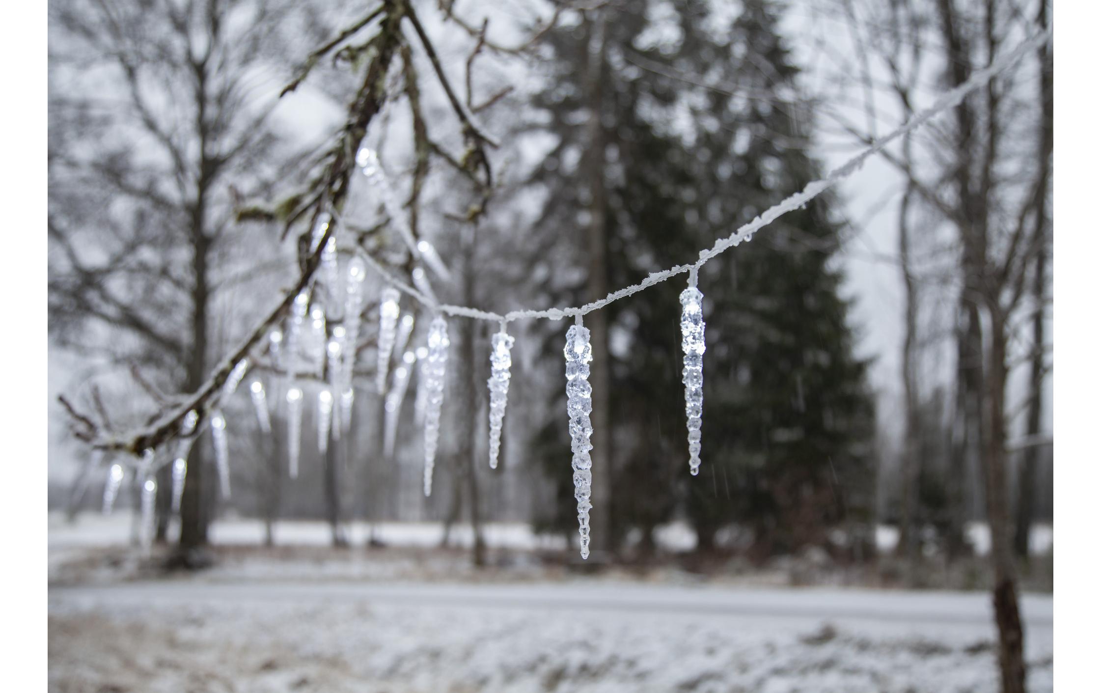 LED-Lichtervorhang Gelido Eiszapfen, 40 LED, 6 mLichtvorhang Icicle Gelido