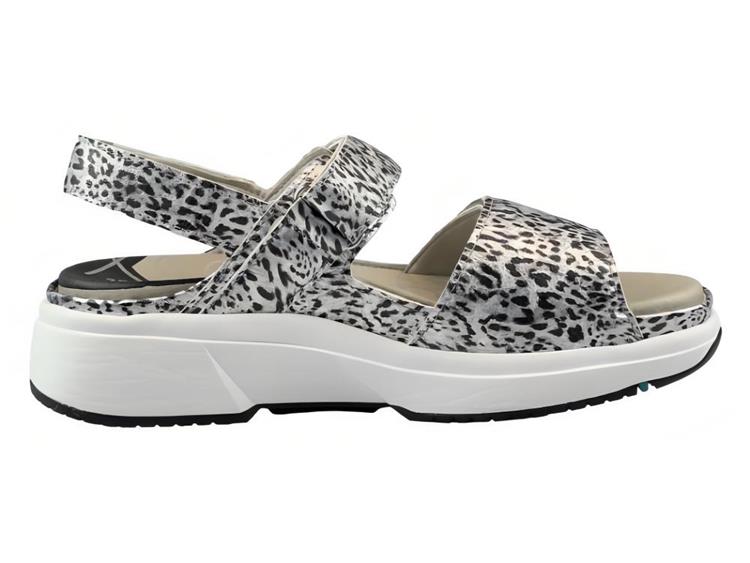 Xsensible 30700.5 Silver Fantasy
