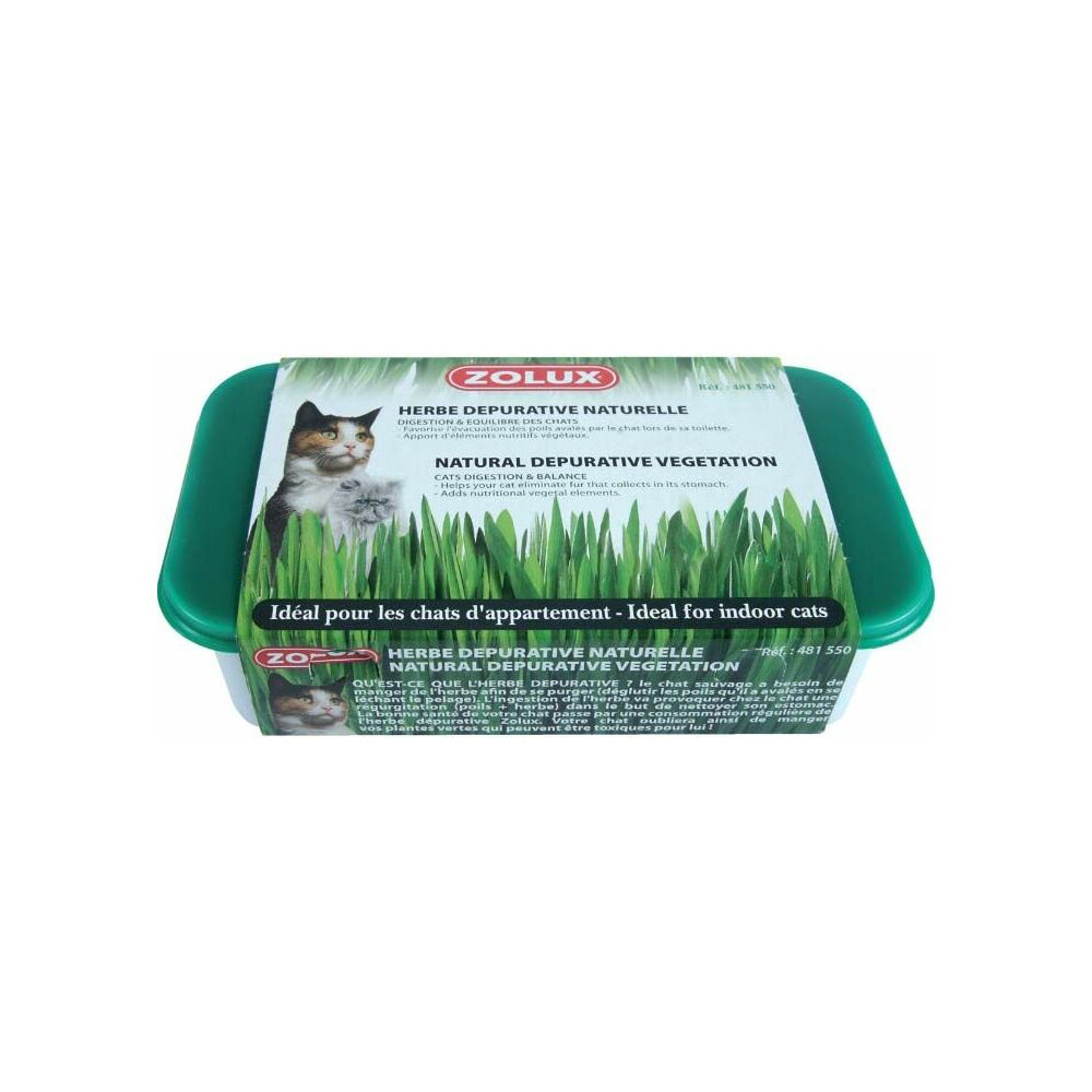Herbe à chat dépurative naturelle (lot de 3)