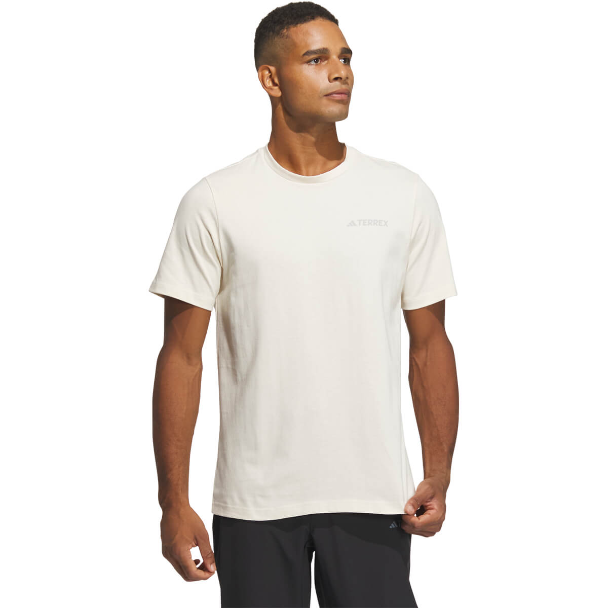 adidas Terrex GFX T-shirt Herre