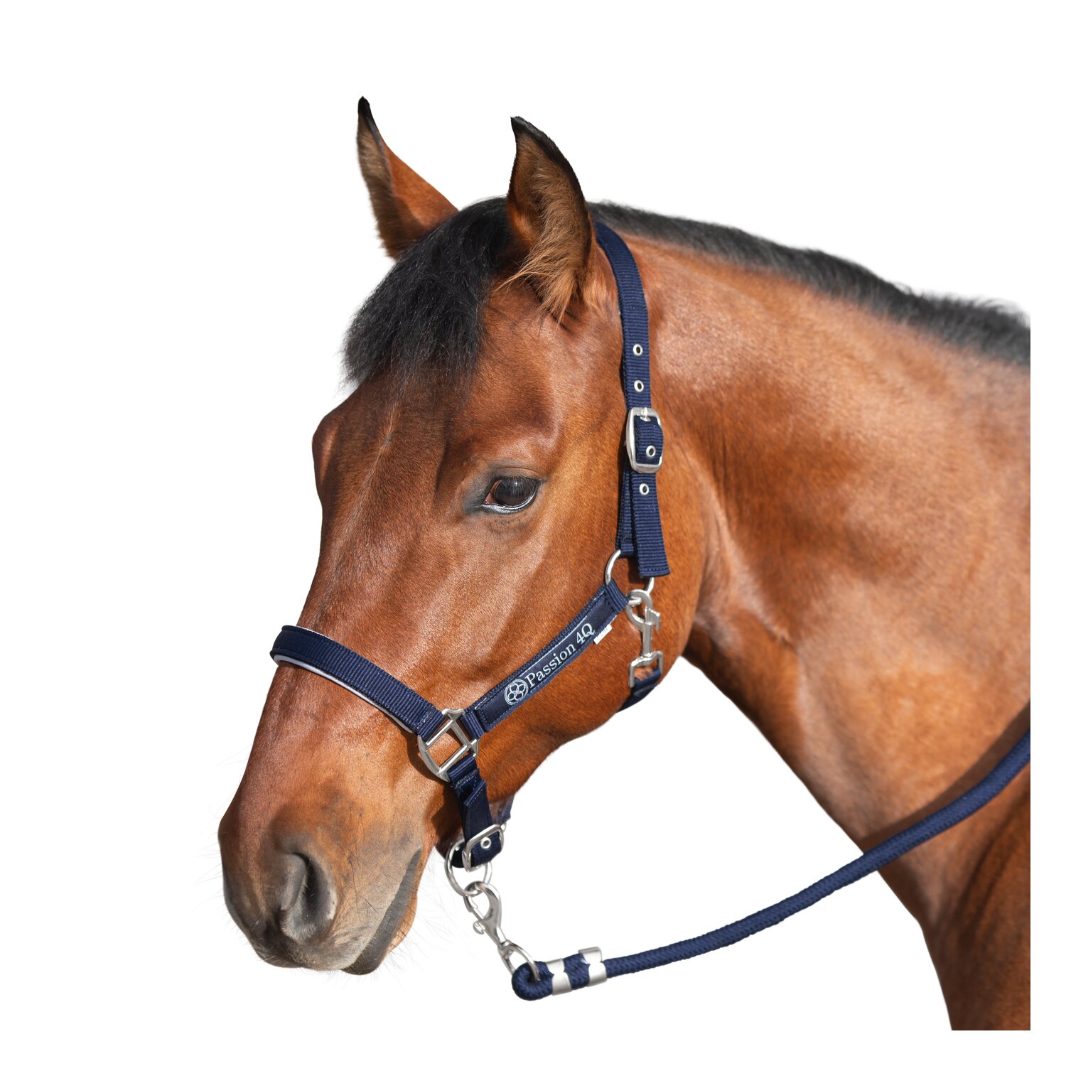 Passion 4Q Halfter  - navy