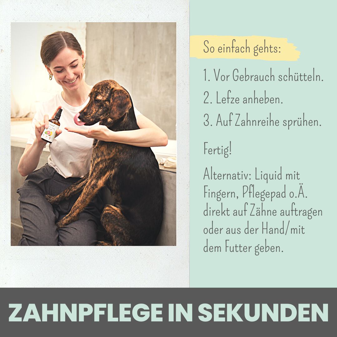 noms+ Dental-Spray bei Zahnstein für Hunde und Katzen [Jahresvorrat]
