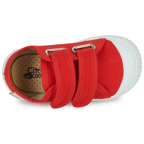 Citrouille et Compagnie - MINOT Rojo