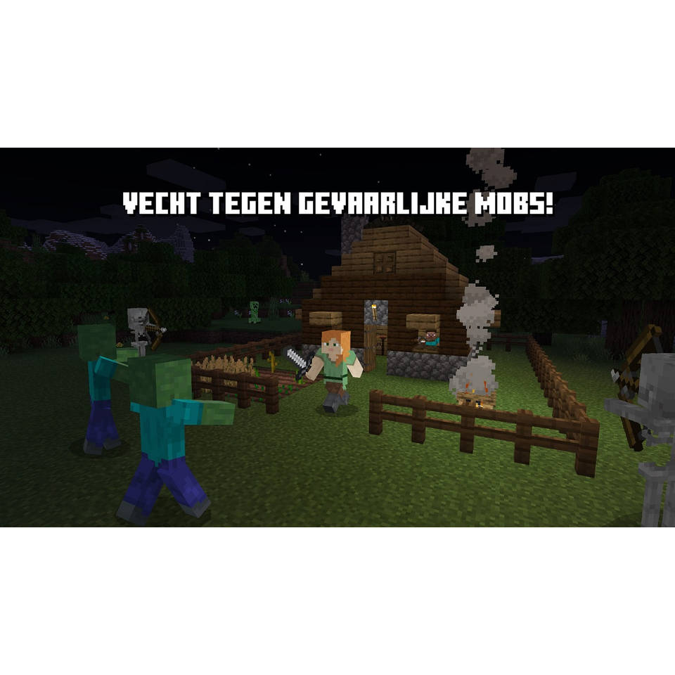 Minecraft Nintendo Switch