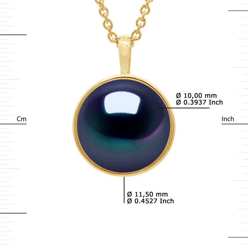 Collier Bélière Entourage Lisse - Véritable Perle de Culture d'Eau Douce Bouton 10-11 mm - Black Tahiti - Or Jaune