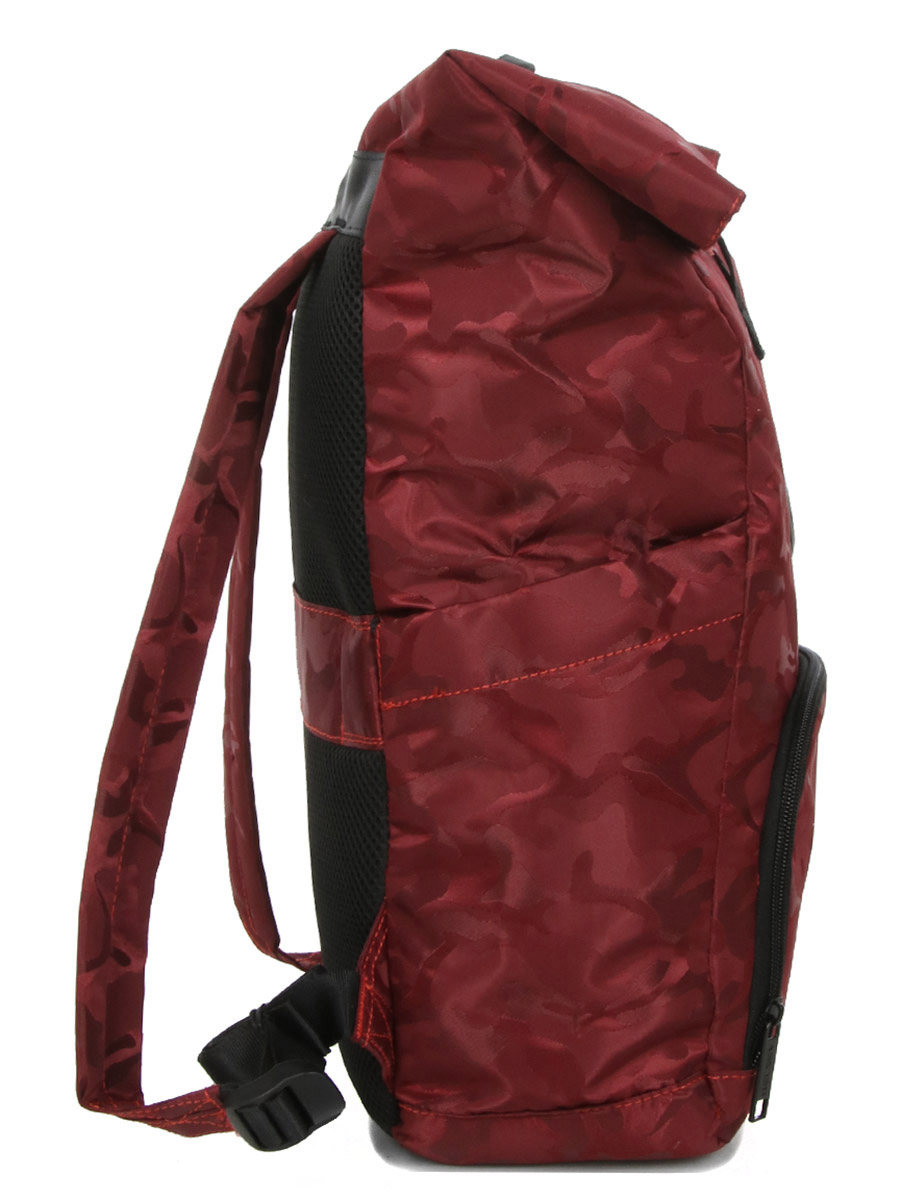 Sac À dos Delsey Citypak Rolltop
