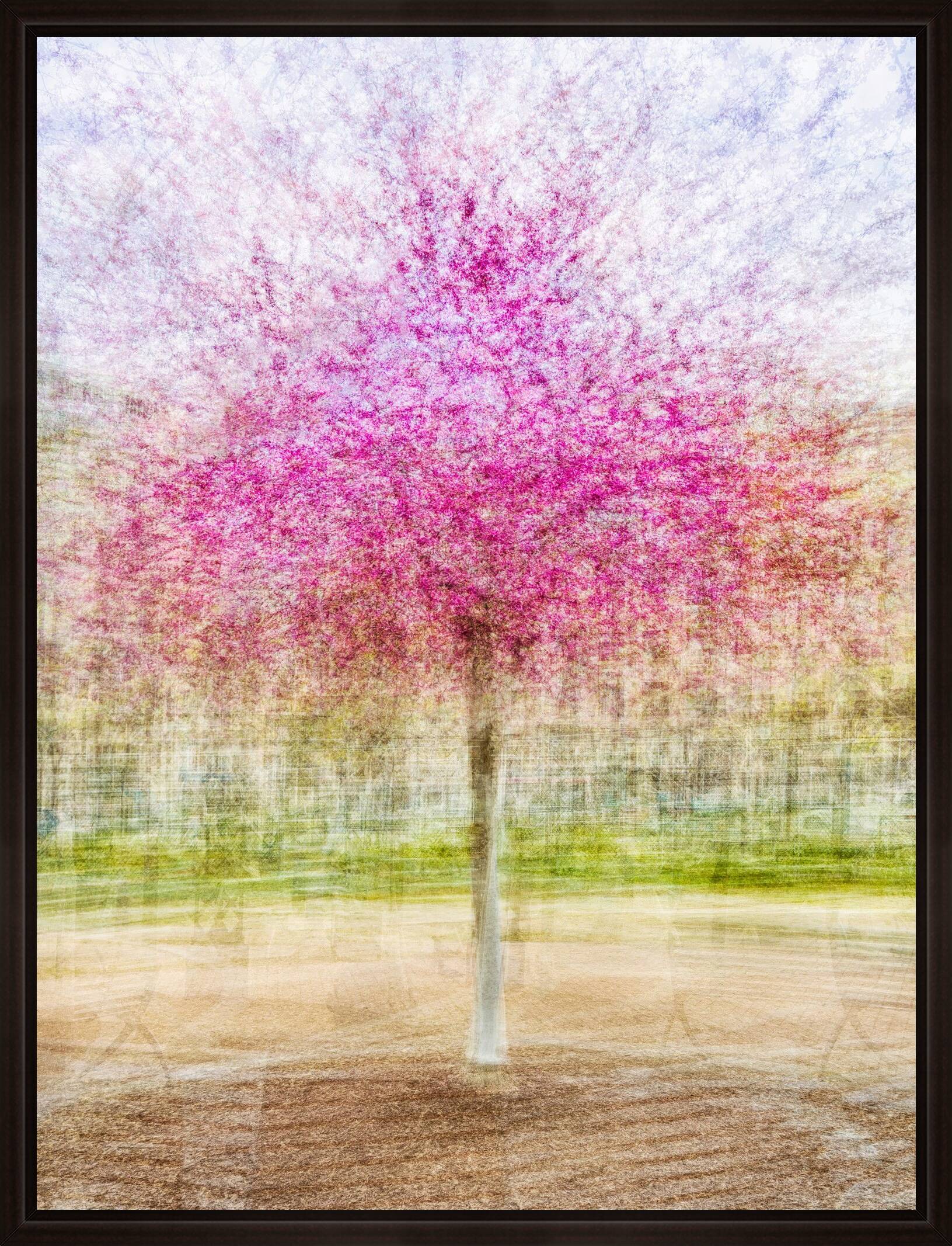 Henry Kaiser Park by Pep Ventosa - Limited Edition. Edition of: 100. Signed.