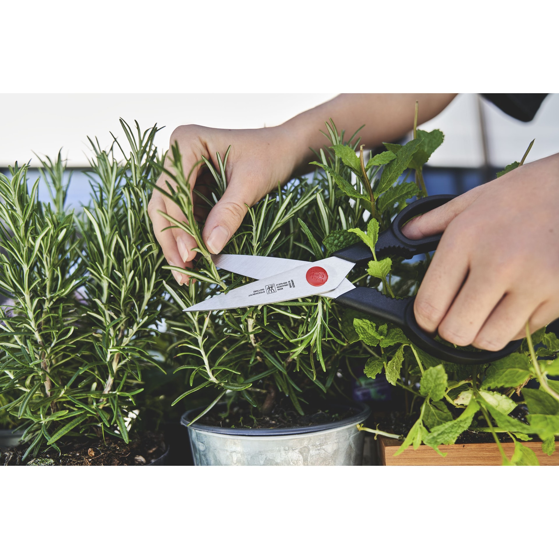 ZWILLING Vielzweckschere TWIN L 20 cm Edelstahl