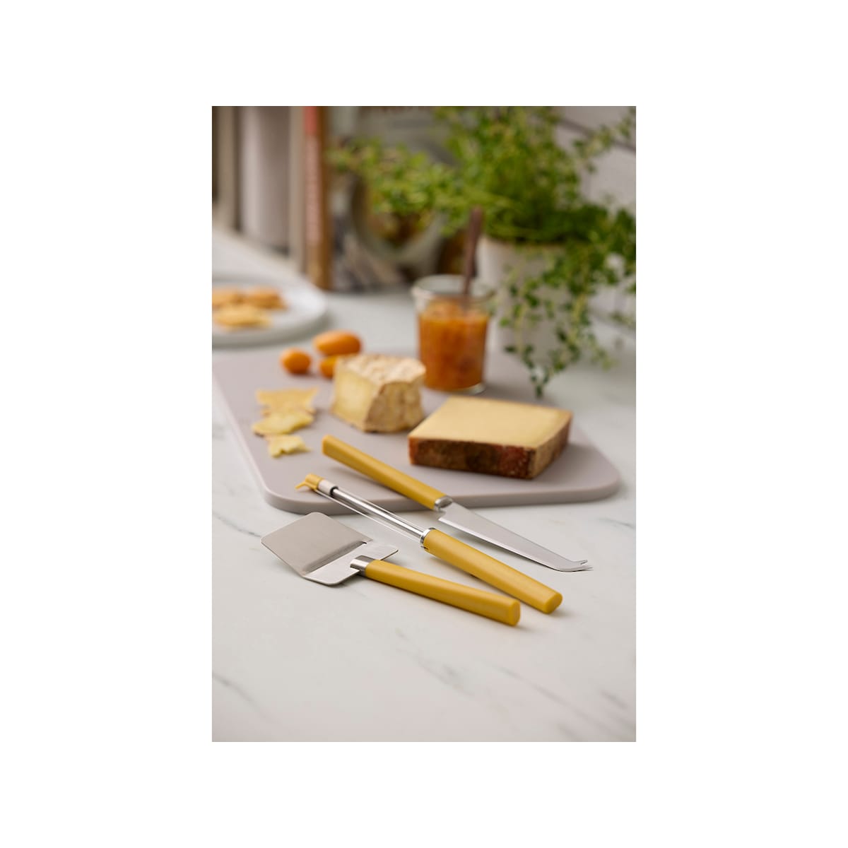 Rosti Emma Cheese slicer 24 cm Curry