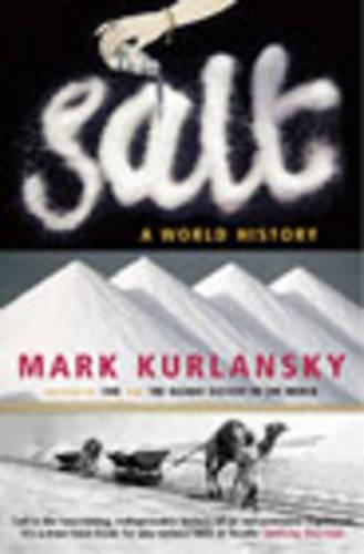 Salt (Paperback)