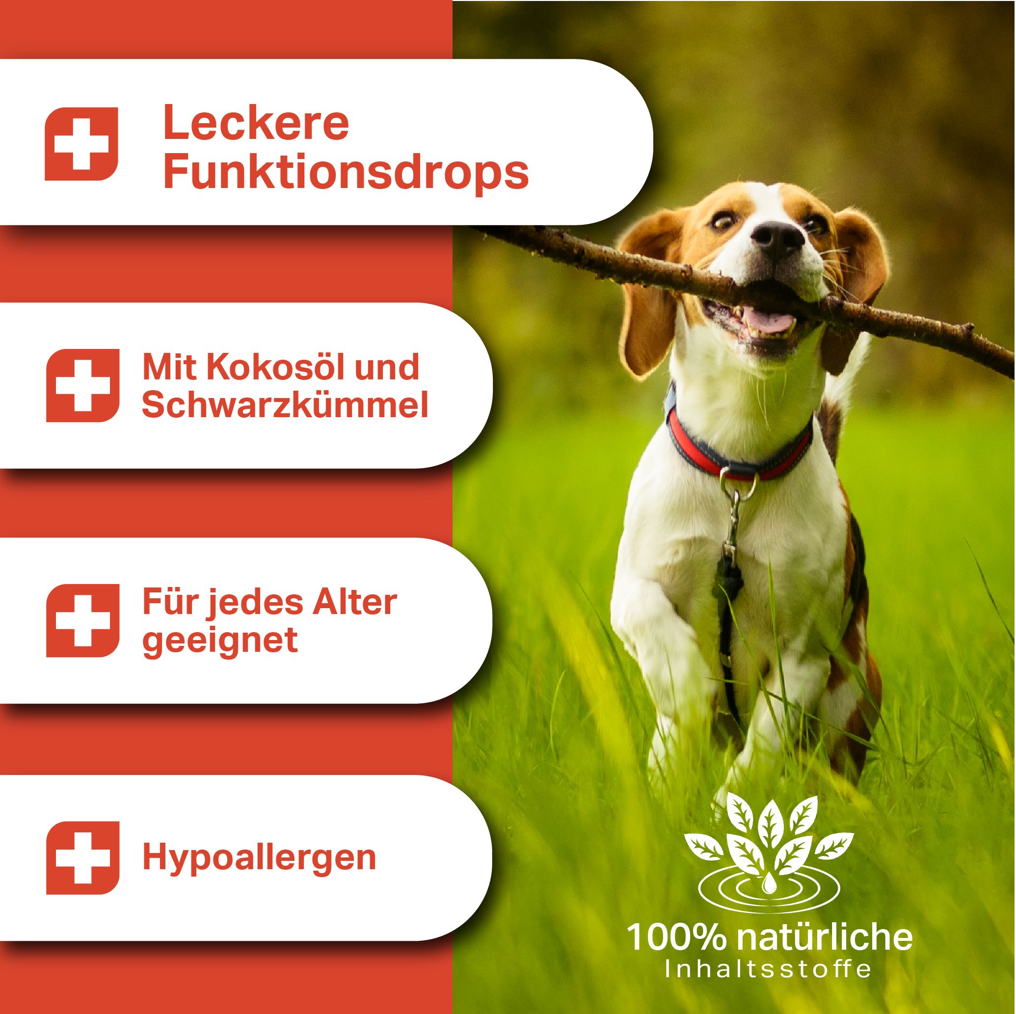 MEDIDOG Zeggi Weggi Drops