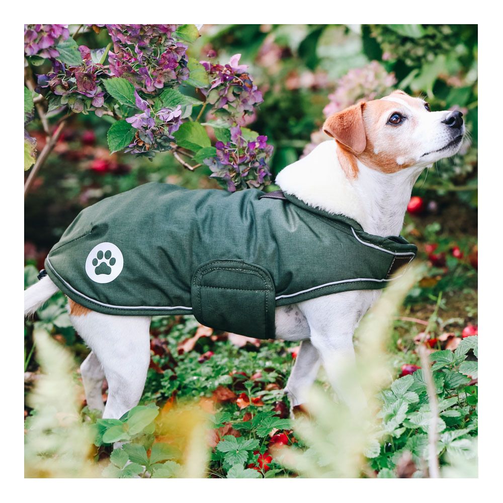 Kentucky WATERPROOF 300G - Couverture pour chien olive green