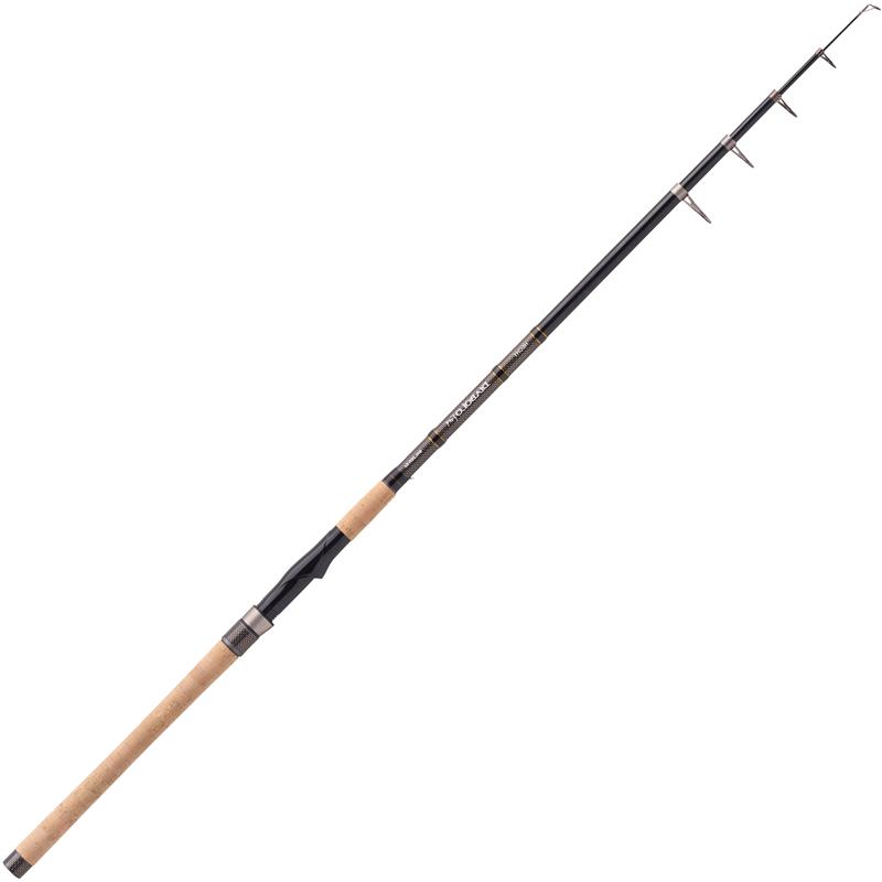 Canne Manié Télescopique Balzer Diabolo Fury Hecht