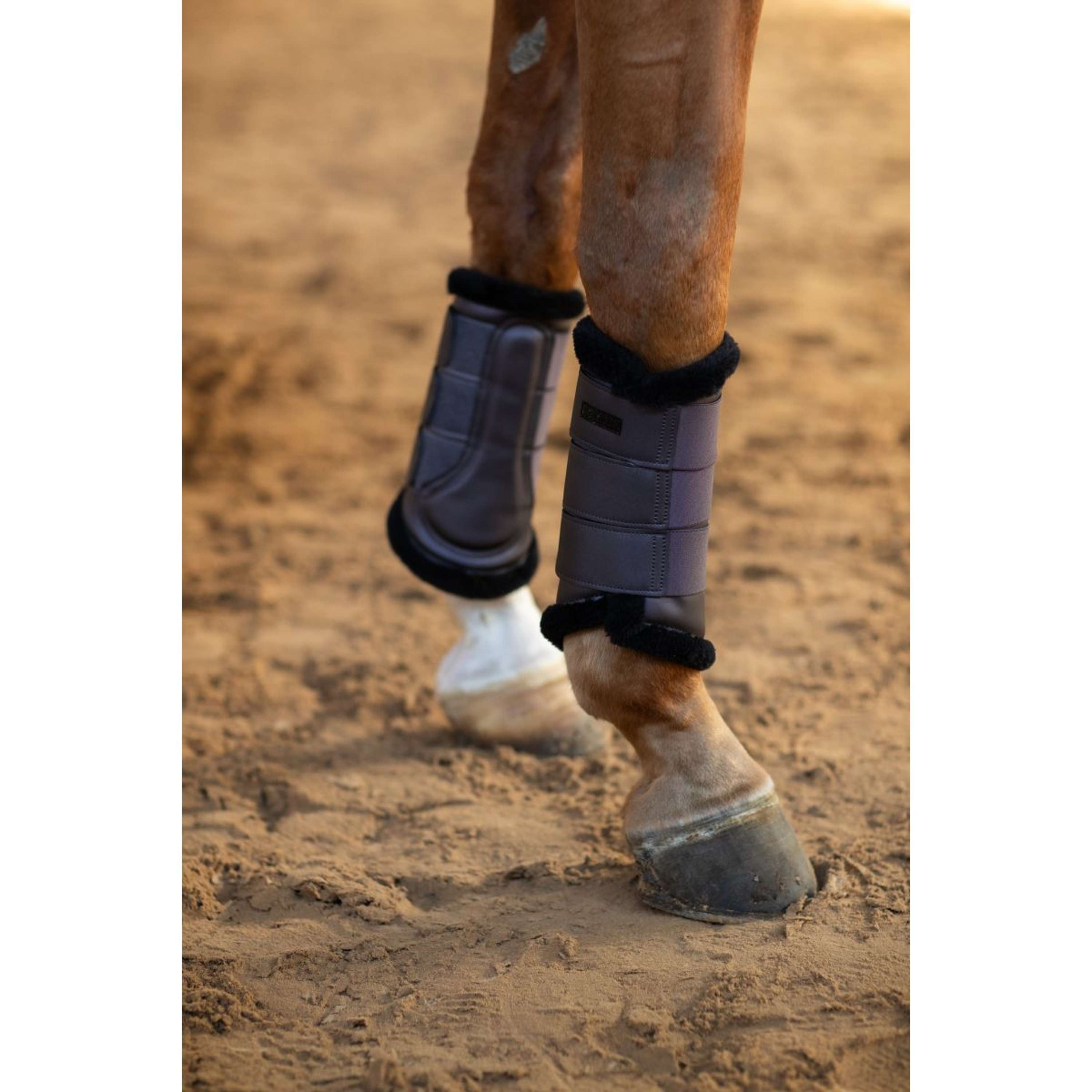 Equestrian Stockholm Beenbeschermers Dark Violet