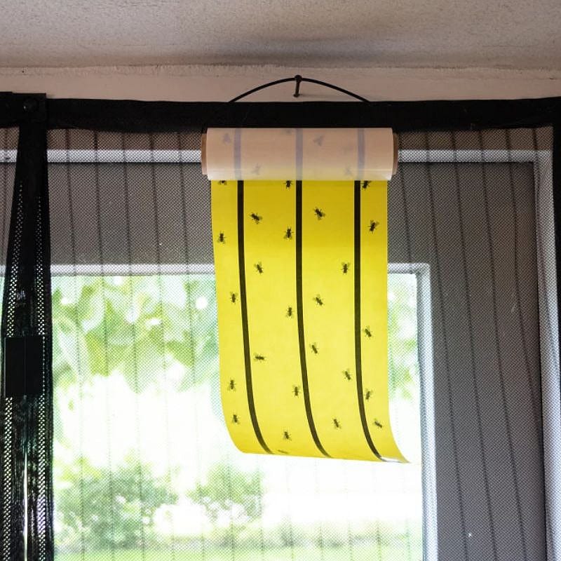 Knock Pest Vliegenkleefrol Geel 5 Meter  | 11247