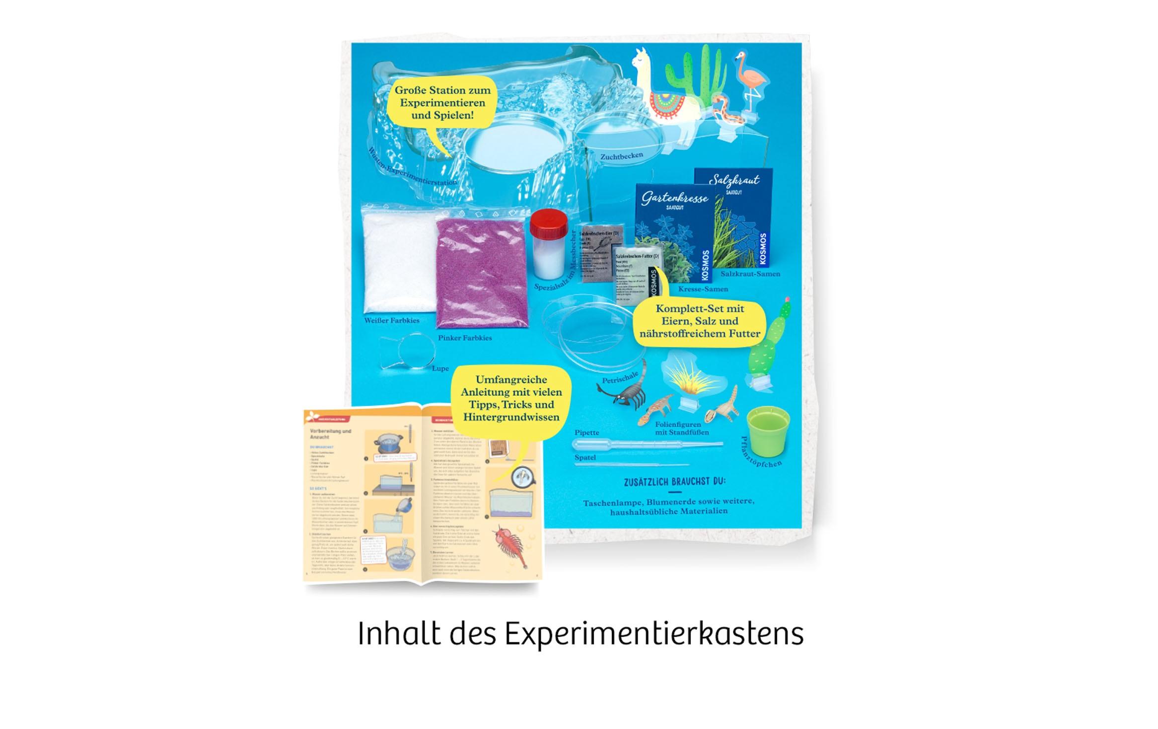 Experimentierkasten SalzkrebseÜberlebenskünstler in der Wüste