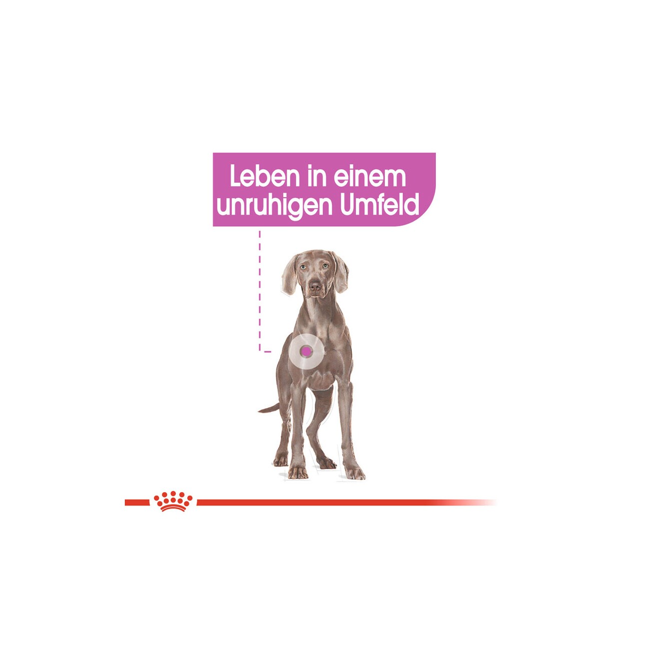 ROYAL CANIN Relax Care Maxi 9 kg