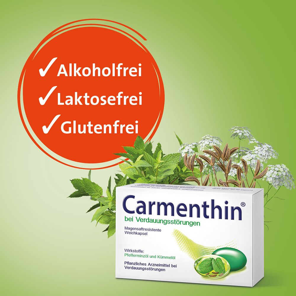 Carmenthin® bei Verdauungsstörungen