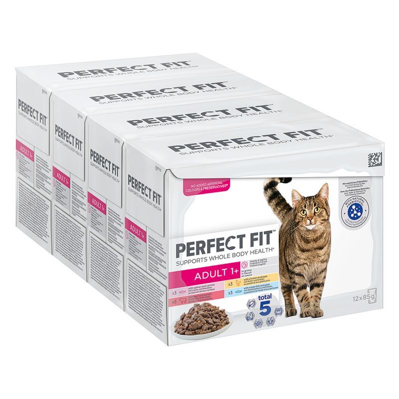 Lot mixte PERFECT FIT