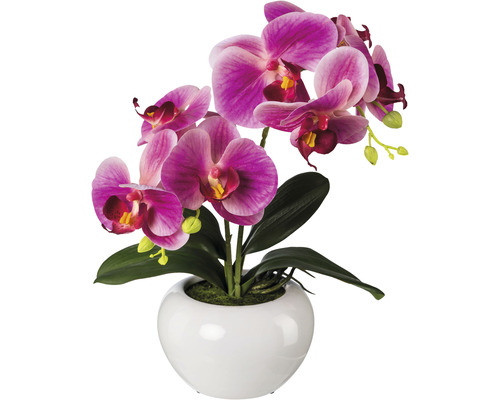 Kunstplant Phalaenopsis Fuchsia, hoogte: 35 cm, roze