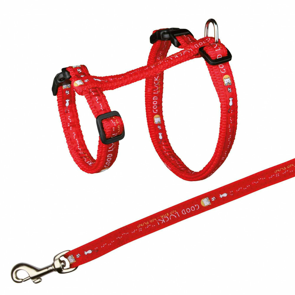 Harnais xl avec laisse pour grand chat 34-57 cm/13 mm couleur aléatoire