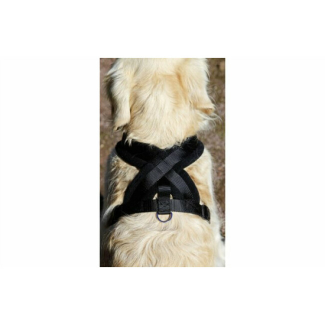 Harnais Cross Flamingo pour chien