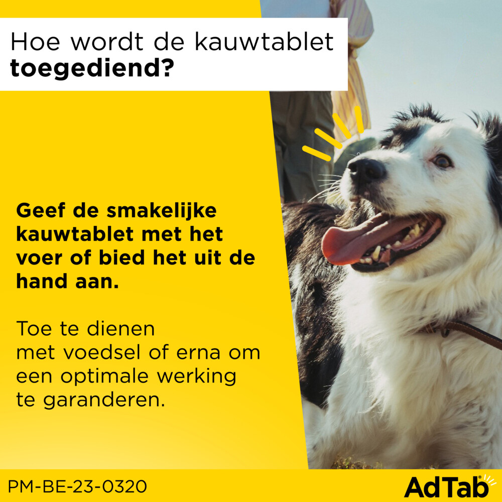 AdTab Anti Vlo en Teek Kauwtabletten Hond >5,5-11 kg3 tabletten