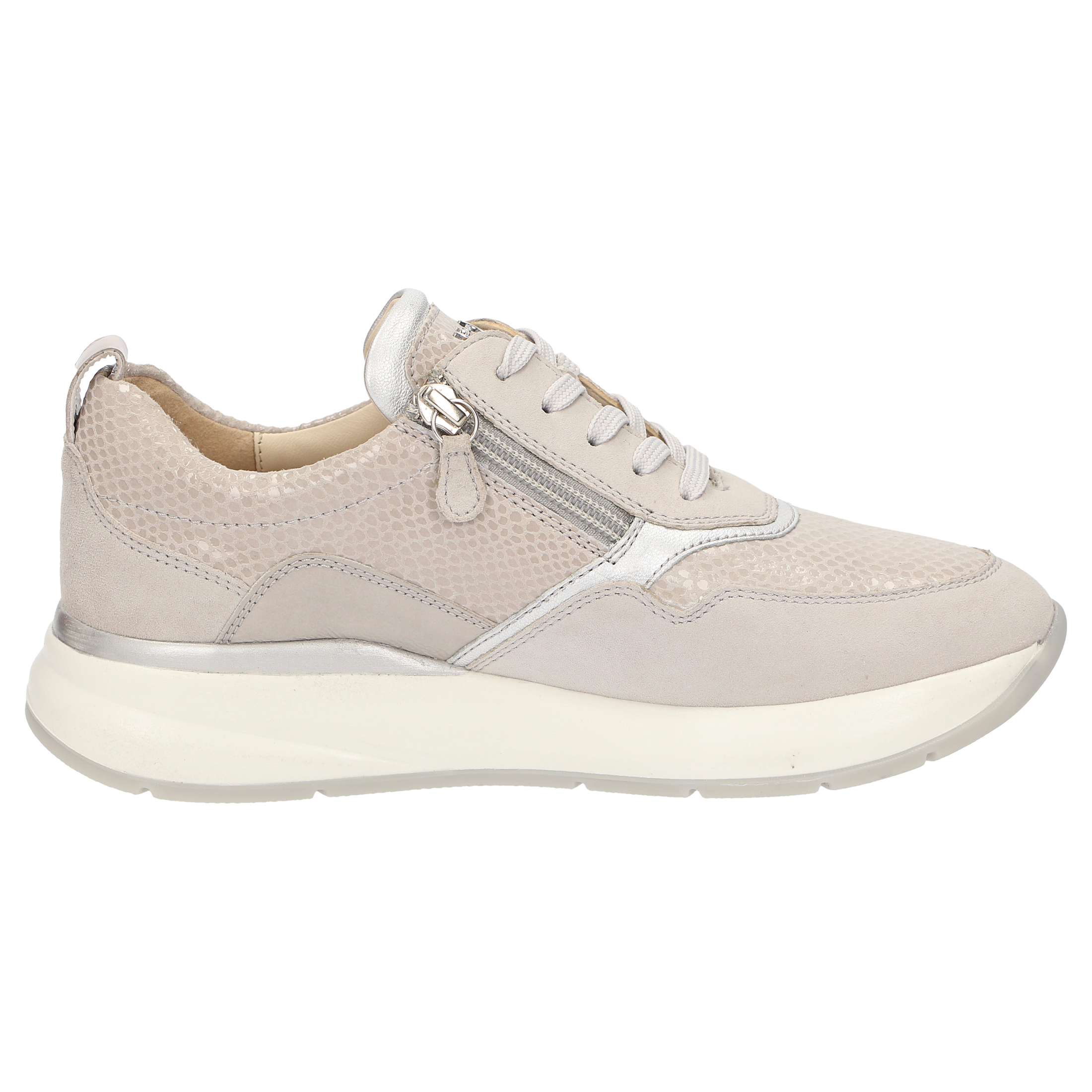 Segolia-705-J
