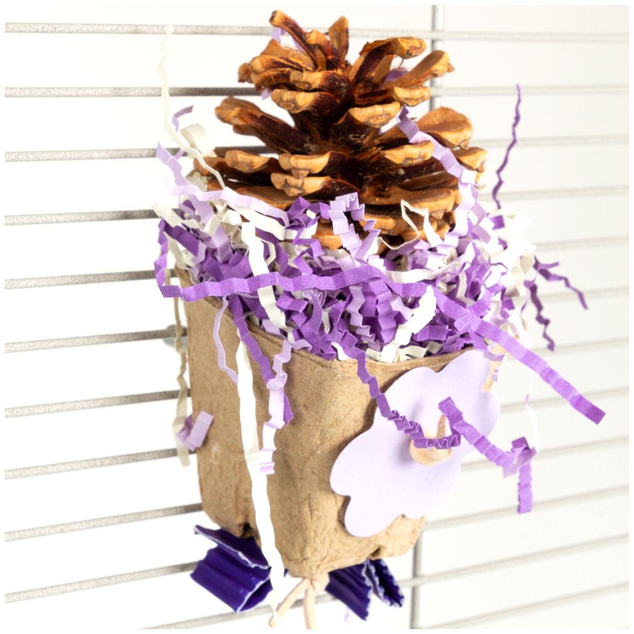 HappyBird Knabberspielzeug Pinecone Cup