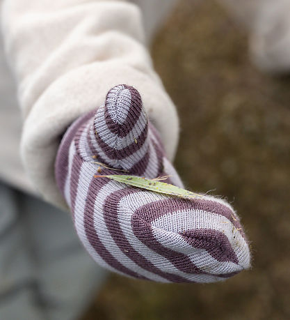 Racing Kids Fäustlinge - Wolle/Baumwolle - Dusty Purple m. Strei