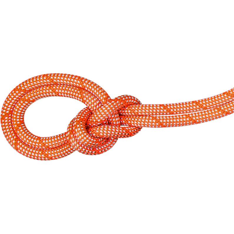 Mammut 9.8 Crag Classic Kletterseil