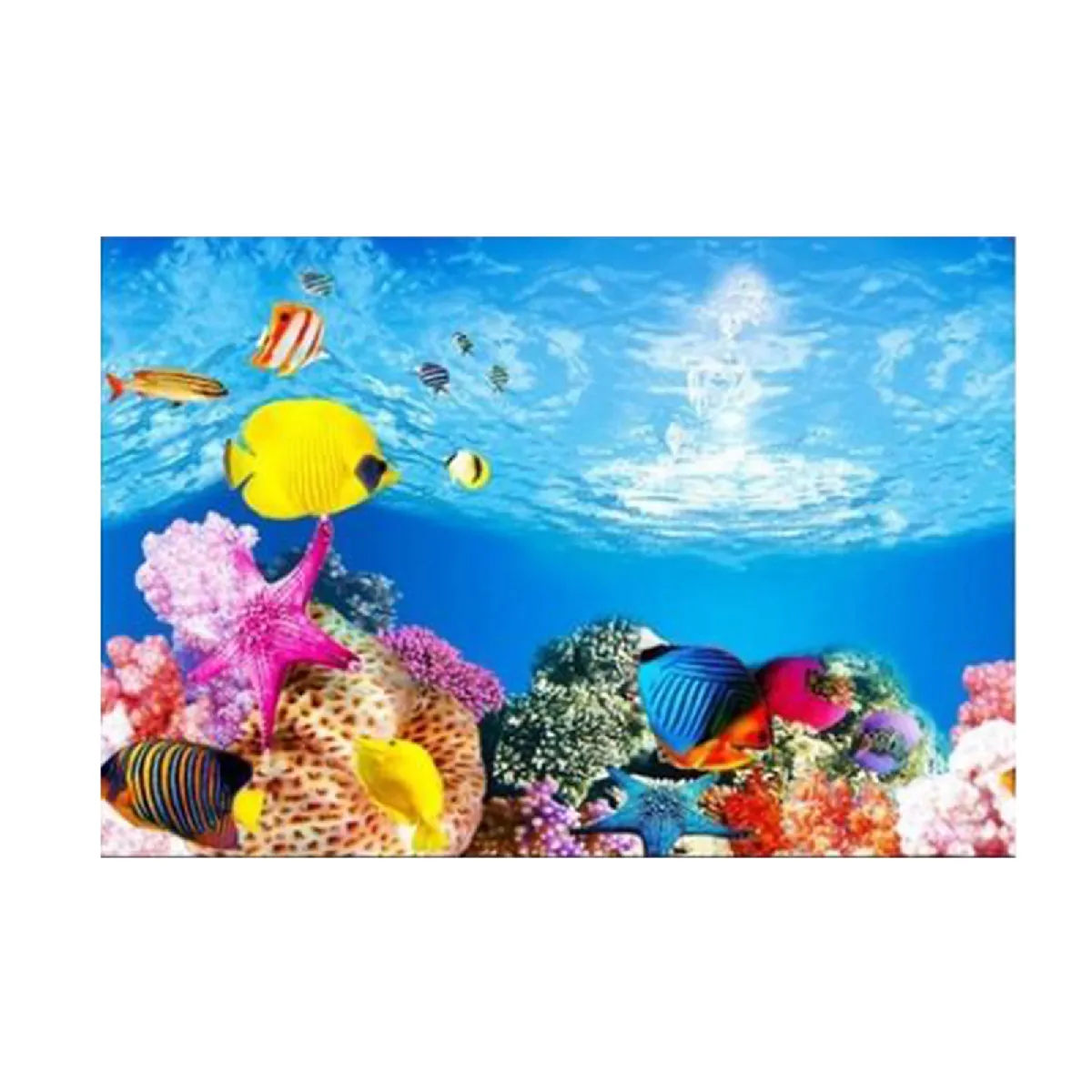 Affiche de fond d'aquarium 30x52cm