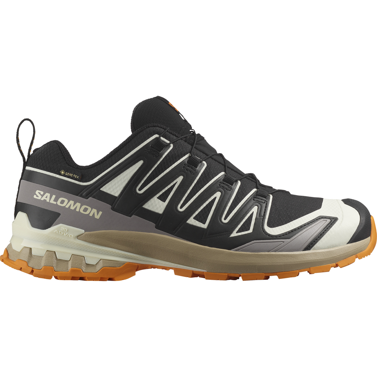 Salomon<br>XA Pro 3D V9 GTX M