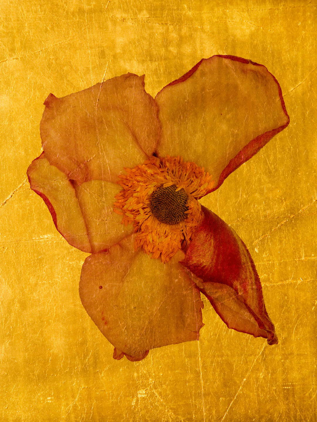 Aurum VIII by Michael Wissing - Limited Edition. Edition of: 100. Signed.