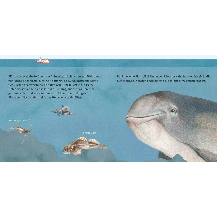 Carlsen LESEMAUS 135: Der kleine Wal und das Meer