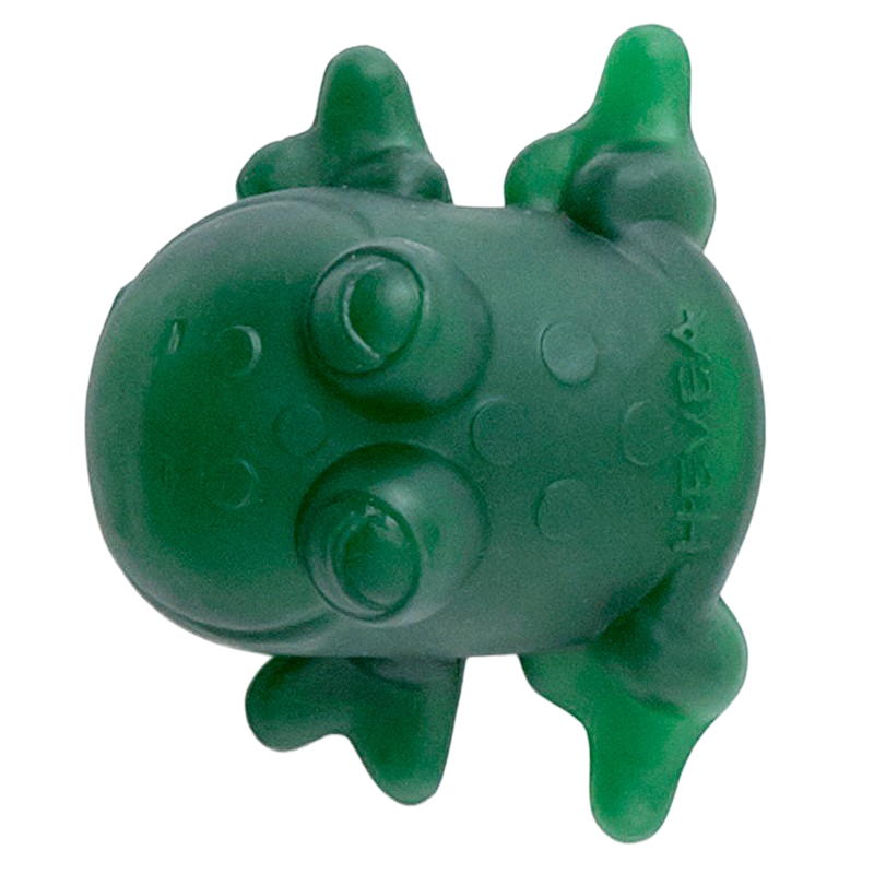 Fred the Frog