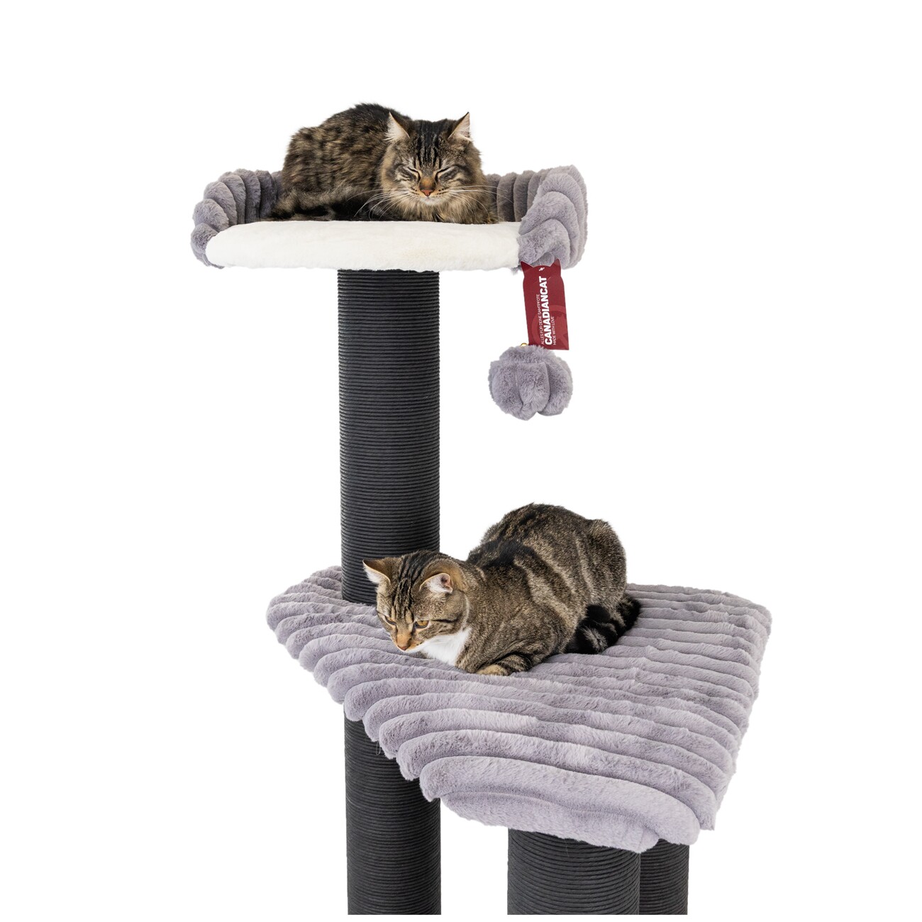 Canadian Cat Company Kratzbaum Brandon