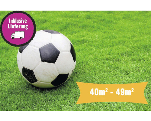 Professionele sportgrasrollen, bestelhoeveelheid 40-49 m², dagelijks vers gesneden