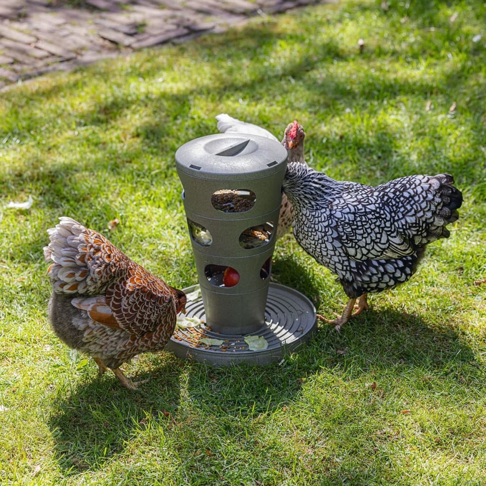Mangeoire tour feed • pour poules • plastique recyclé