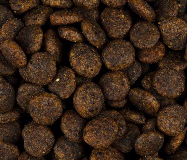 Carnilove Fresh Trockenfutter für Katzen
