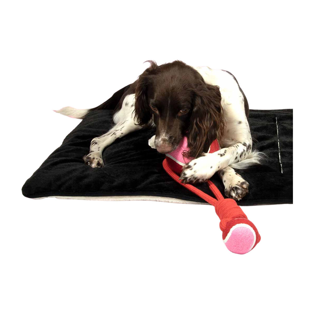 Coockoo Swing/Throw Me Bal met Touwlus