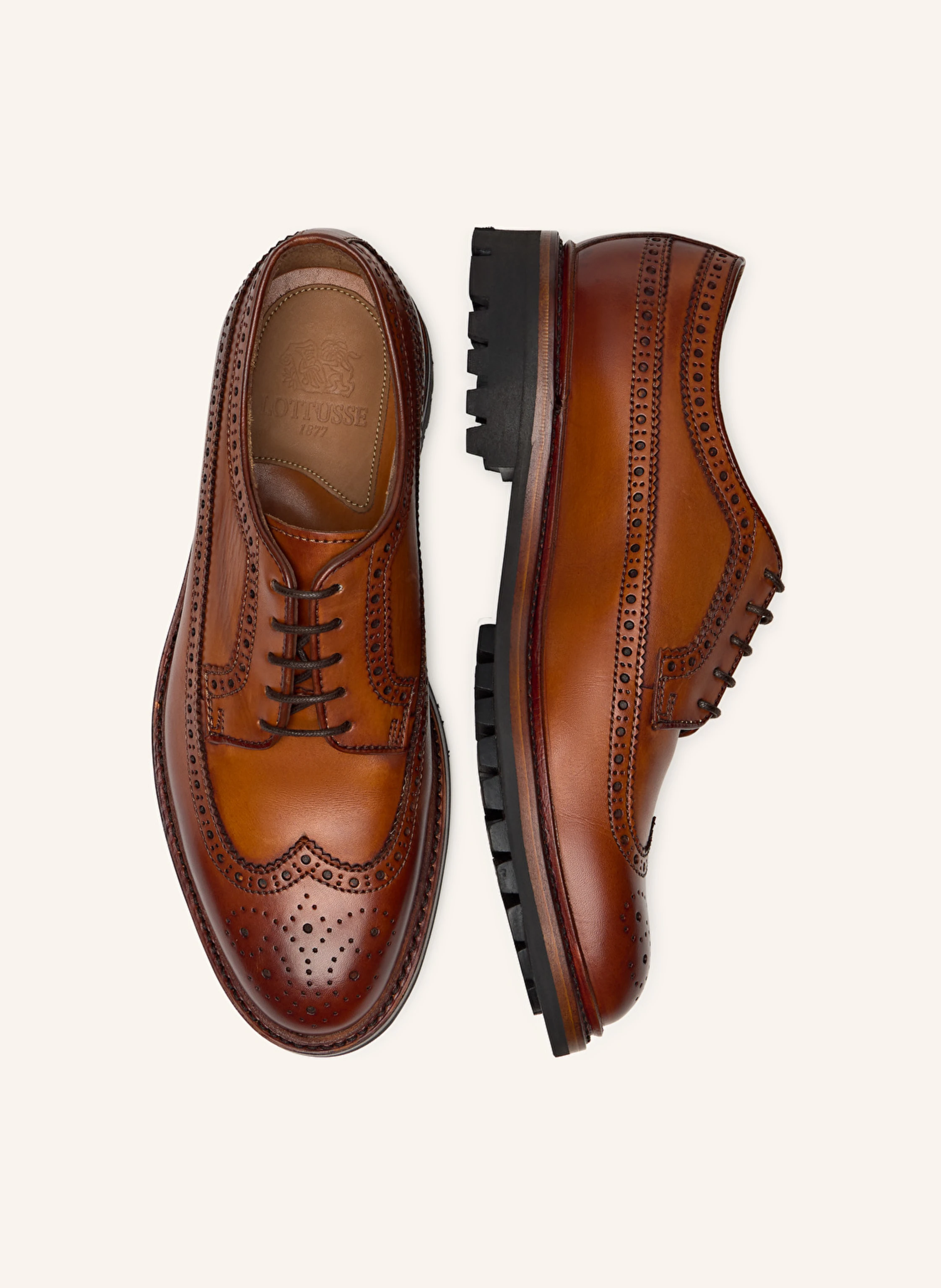 LOTTUSSE Derby Brogue WALTON