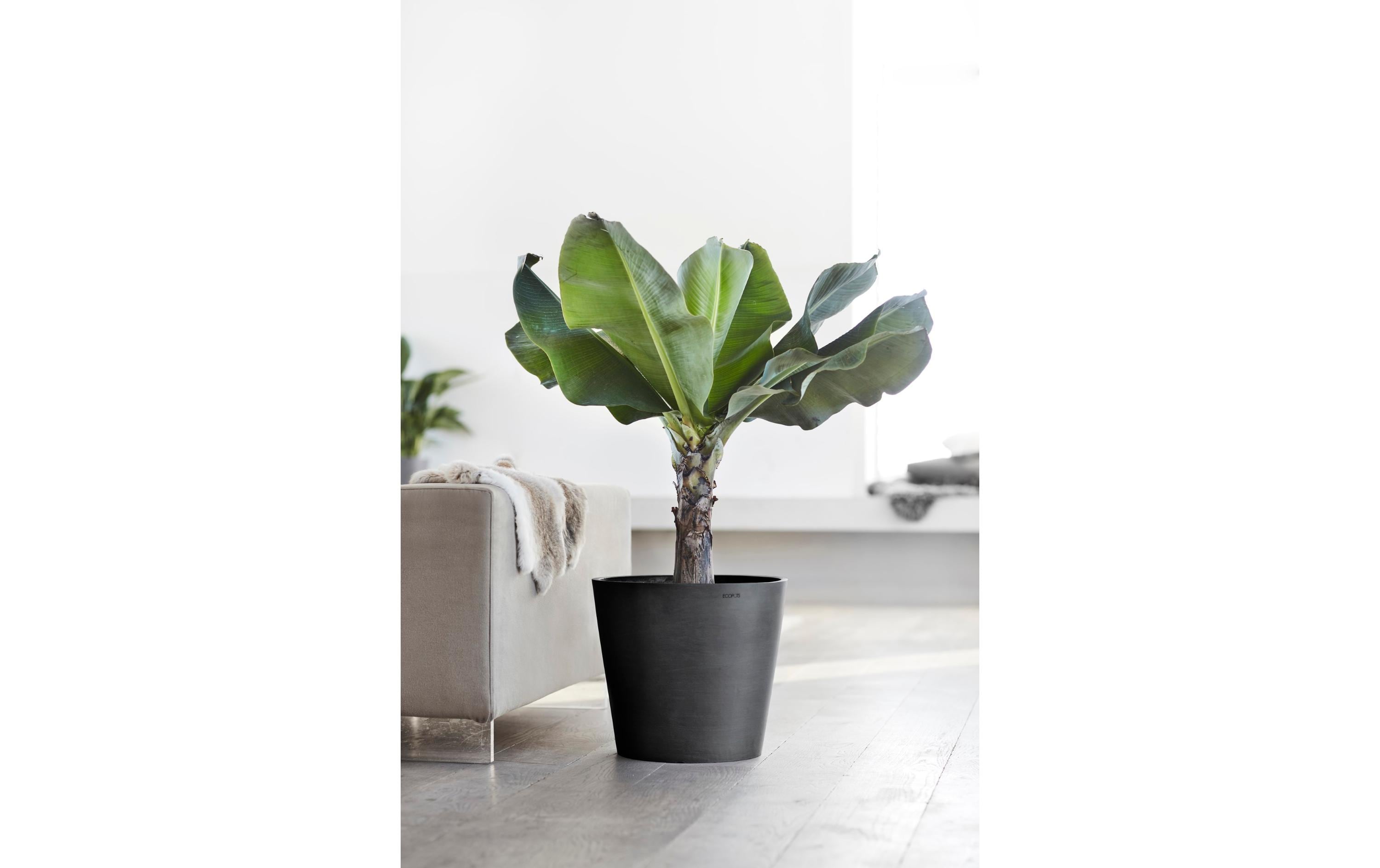 Pflanzentopf Amsterdam 40, DunkelgrauRobuster und langlebiger Blumentopf