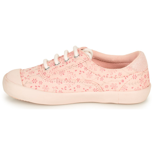 Aster - VANILIE - Rose