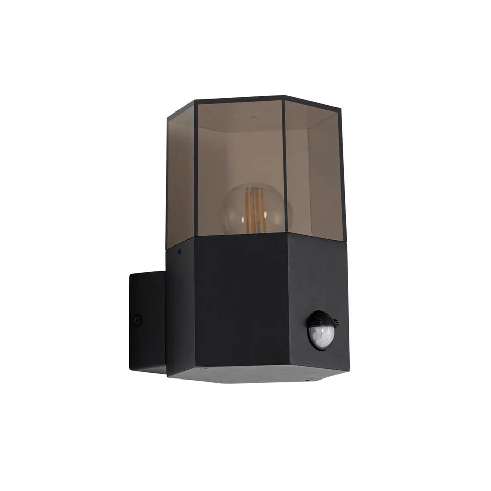 Qazqa buitenlampen met sensor denmark zwart e27